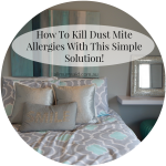 dust mite allergies