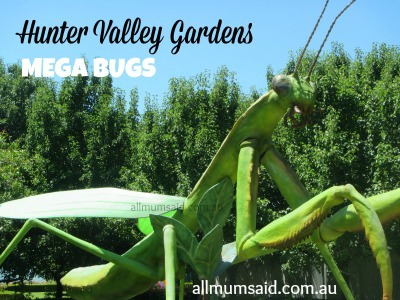 Mega Bugs