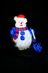IMG_156135251451319
