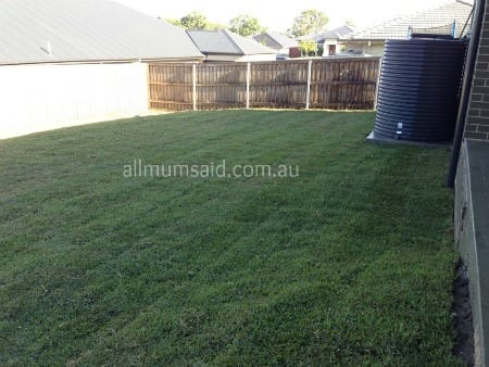 backyard