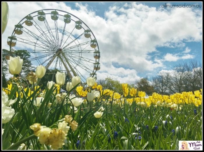 Things to do in Canberra