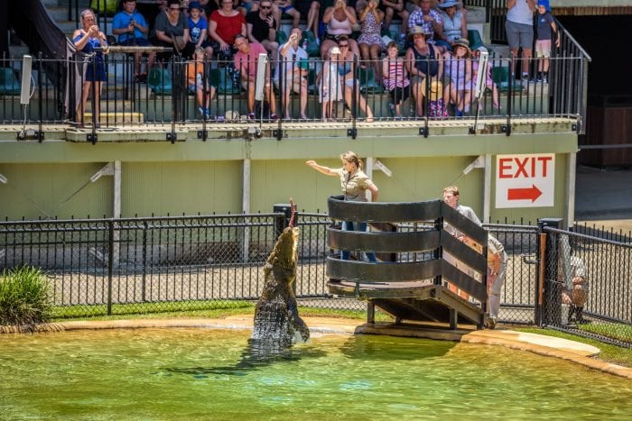 Australia Zoo - crocodile feeding